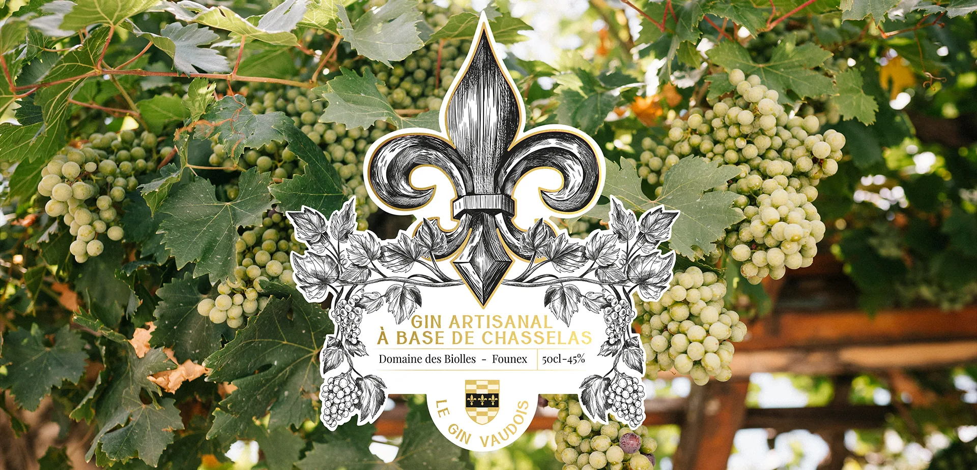 Domaine des Biolles - Le Gin vaudois - Vigneron
