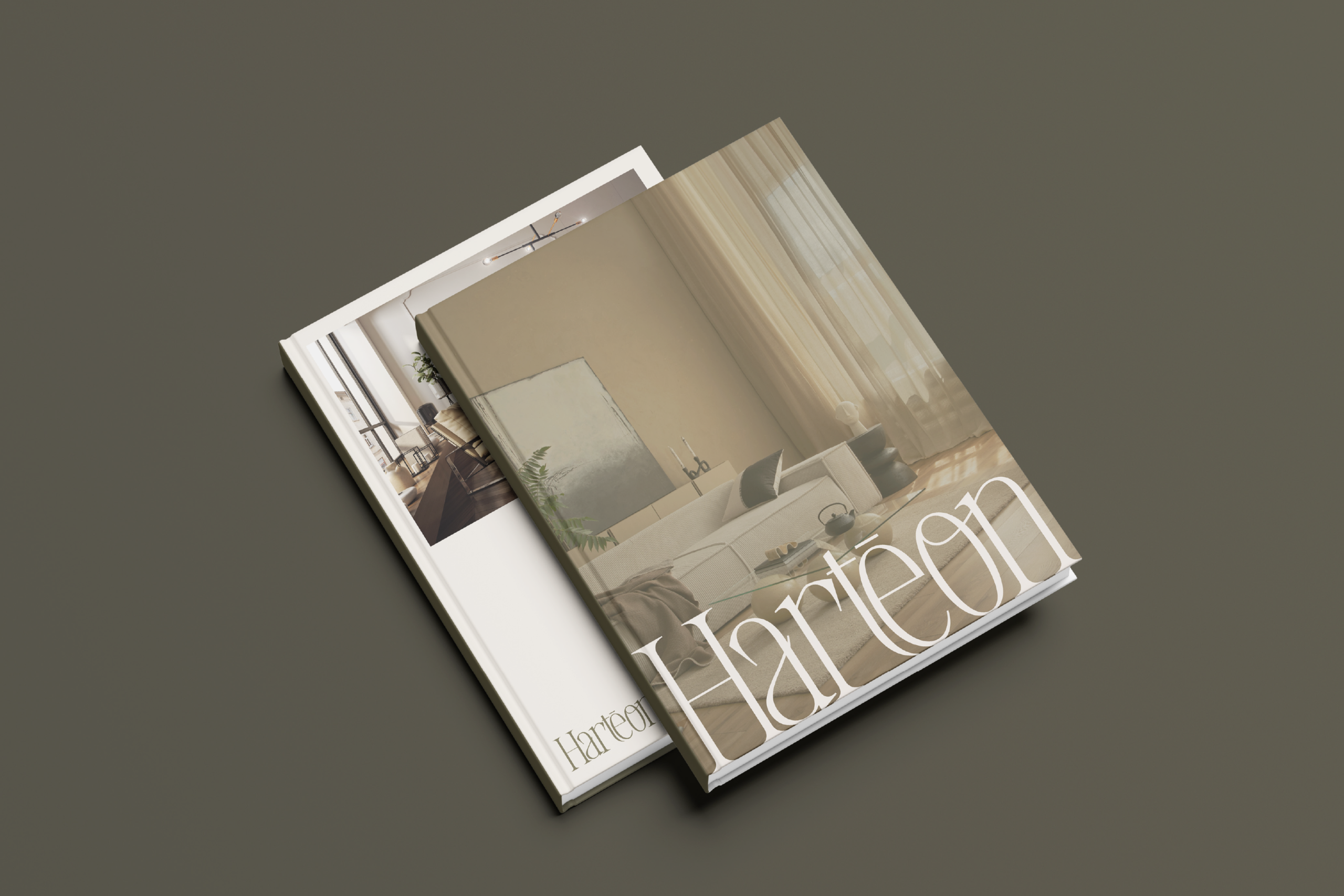 Harteon-portfolio-12